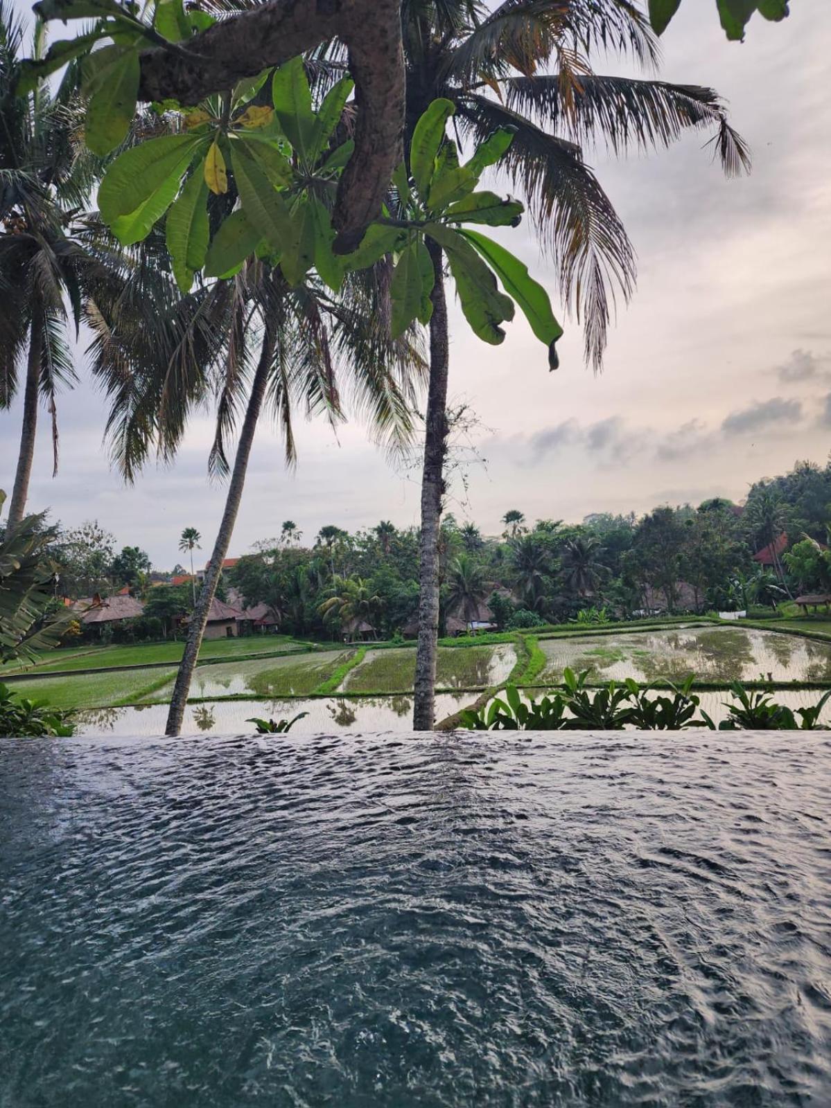 Motama Villa อูบุด ภายนอก รูปภาพ