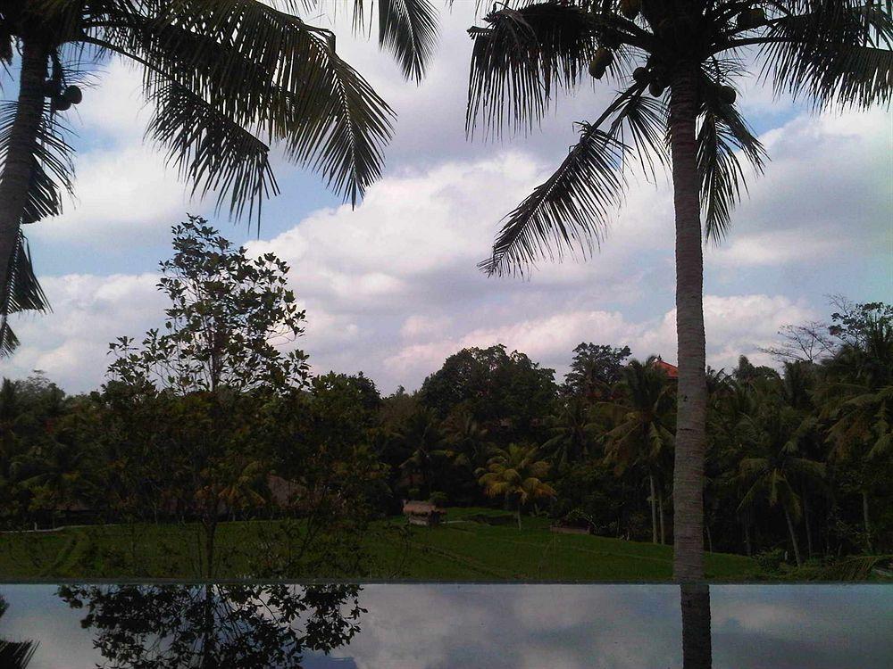 Motama Villa อูบุด ภายนอก รูปภาพ